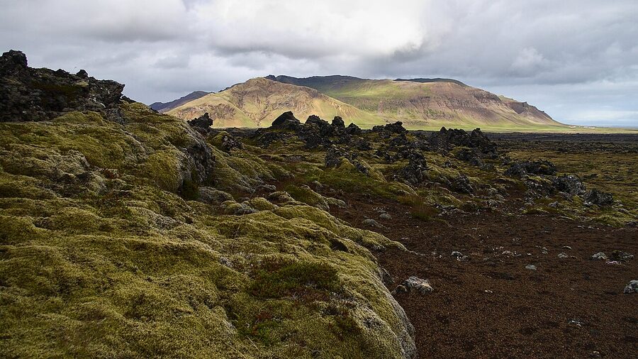 Road through the Berserkjahraun lava field, Snæfellsnes