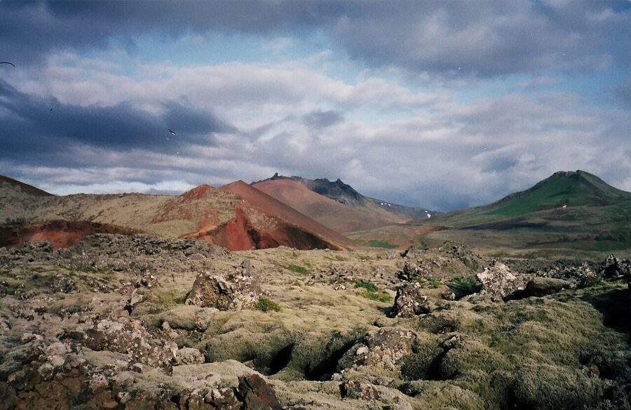 Berserkjahraun lava field in summer, Snæfellsnes peninsula
