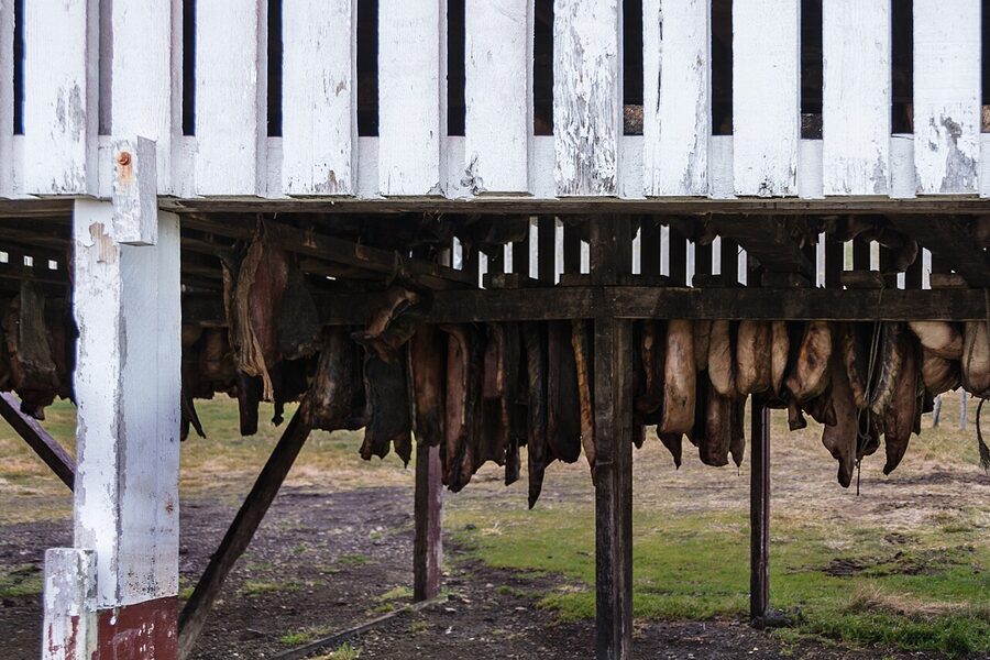 Hákarl, traditional fermented Greenland shark from Iceland