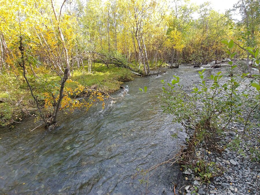 Abisko National Park terrain in late summer