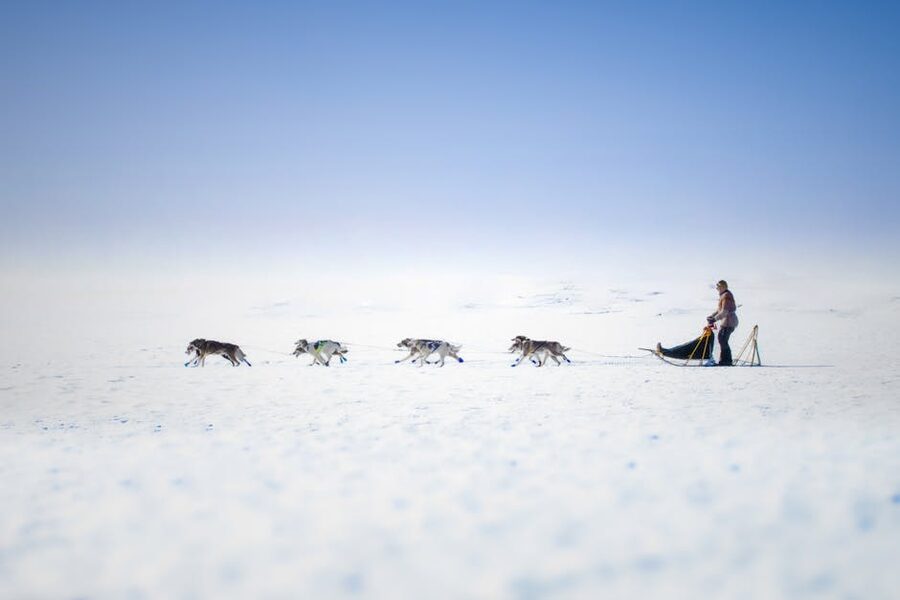 Sled-dog team running across snowy Norwegian landscape