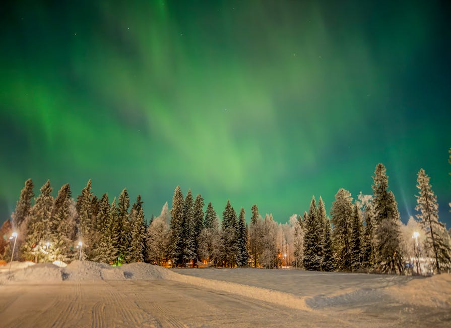 Aurora over snowy forest in Boden Sweden