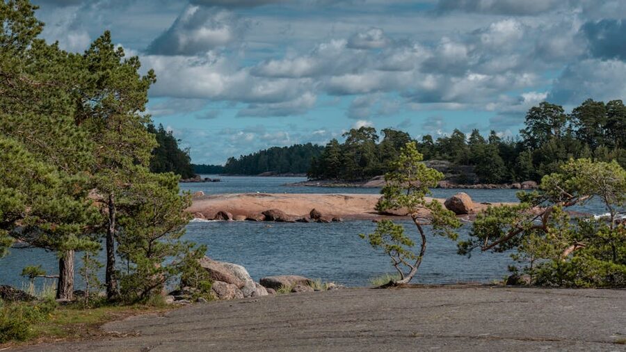 A summer view of pine trees and rocky islands in the Finnish archipelago