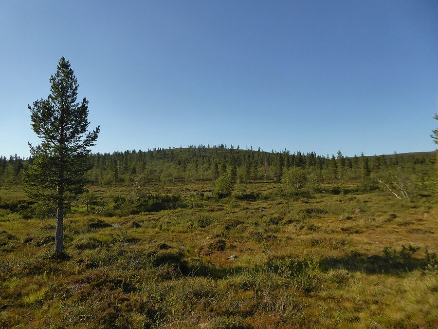 Urho Kekkonen National Park, Lapland