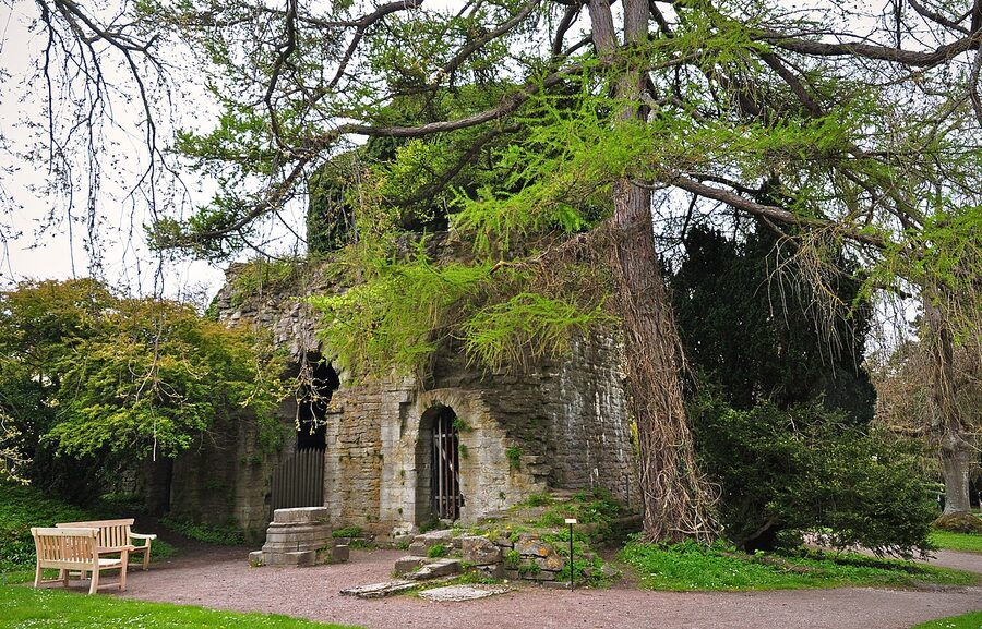 The Sankt Olof ruin inside the Botanical Garden, Visby