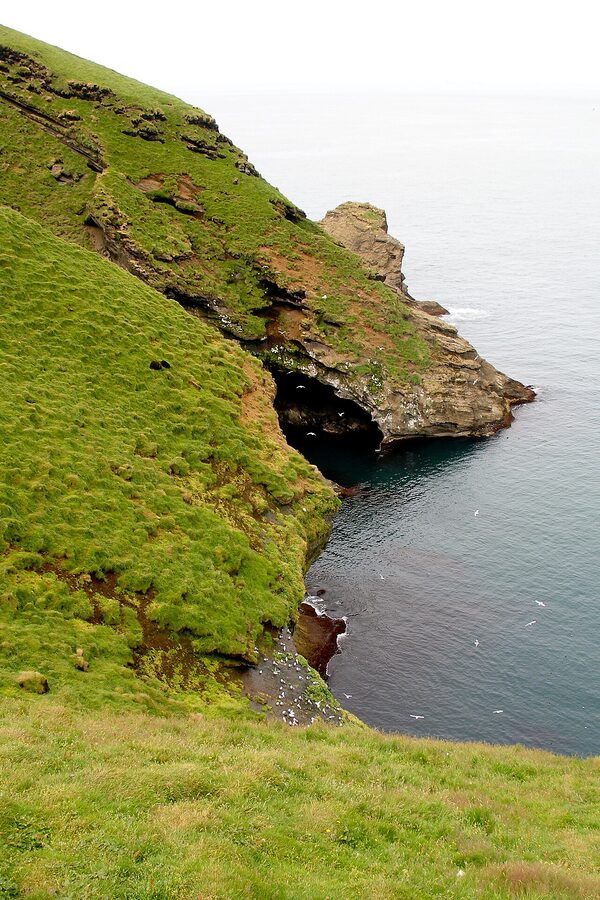 Puffin nesting cliffs at Vestmannaeyjar