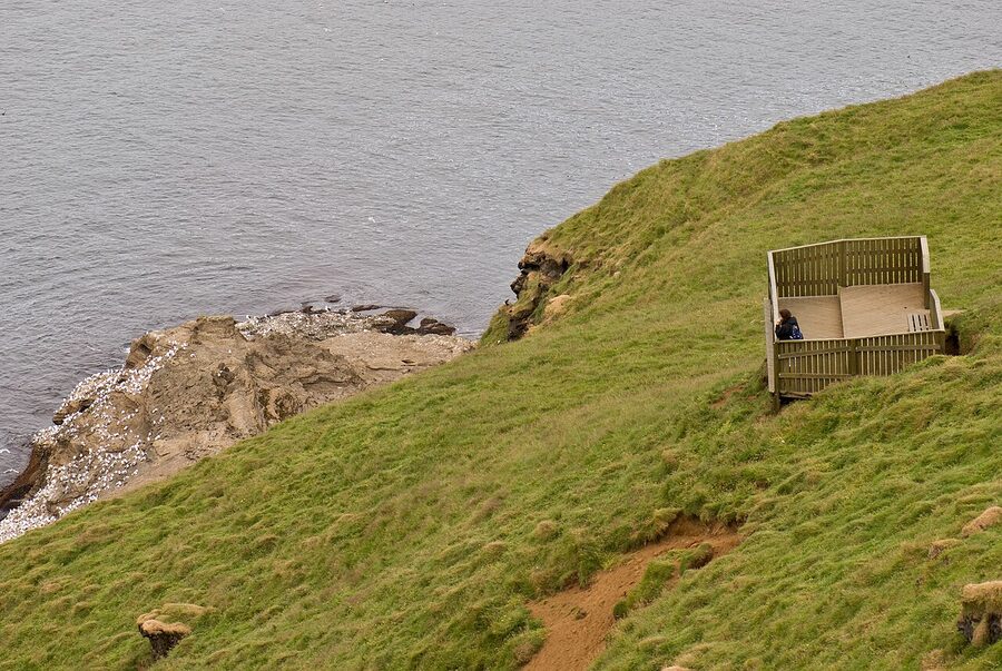 Puffin observatory hide at Stórhöfði