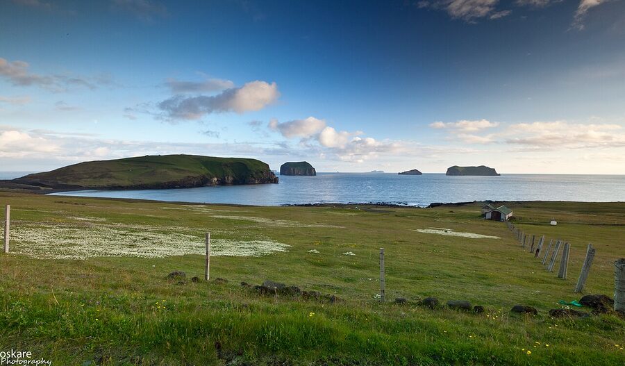 Cliffs at Stórhöfði