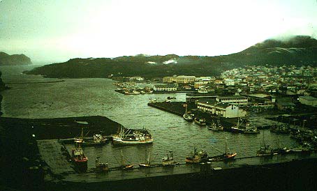 Vestmannaeyjar town after the 1973 eruption